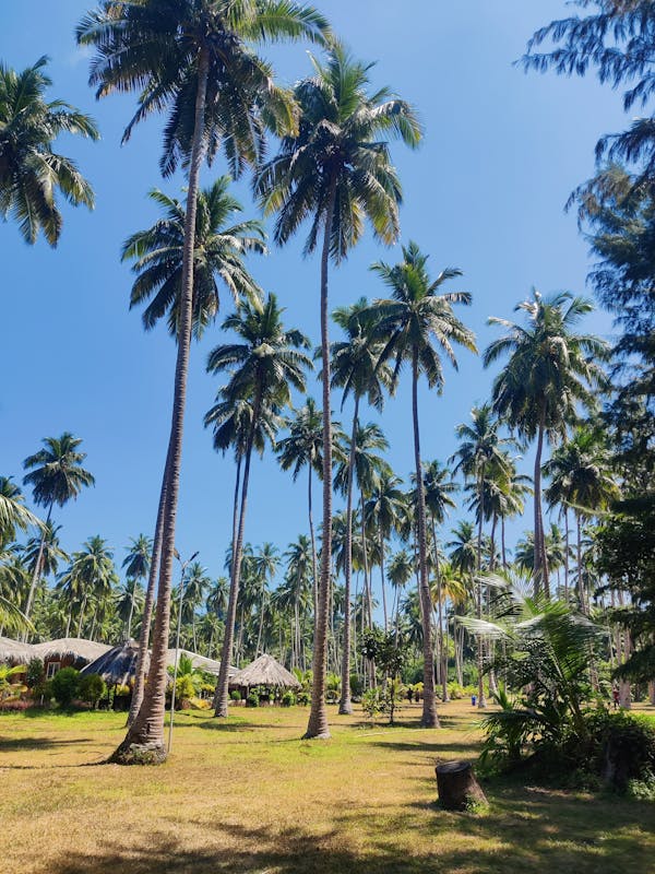 Andaman Tour
